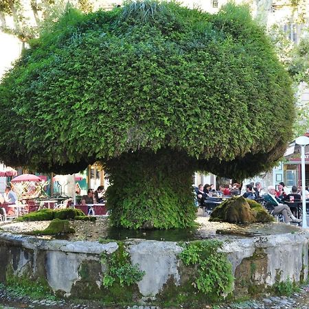 La Pause Salonaise "Au Coeur De La Ville" Bagian luar foto