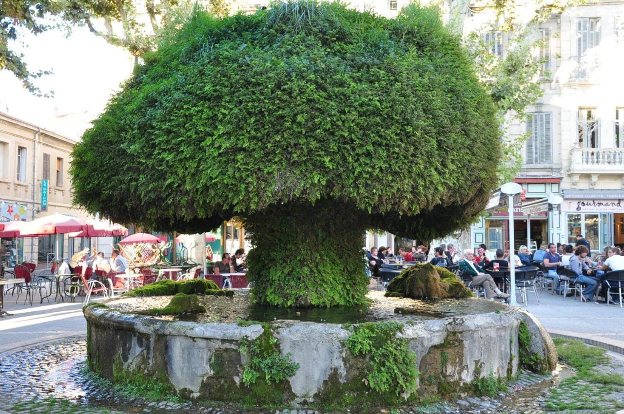 La Pause Salonaise "Au Coeur De La Ville" Bagian luar foto